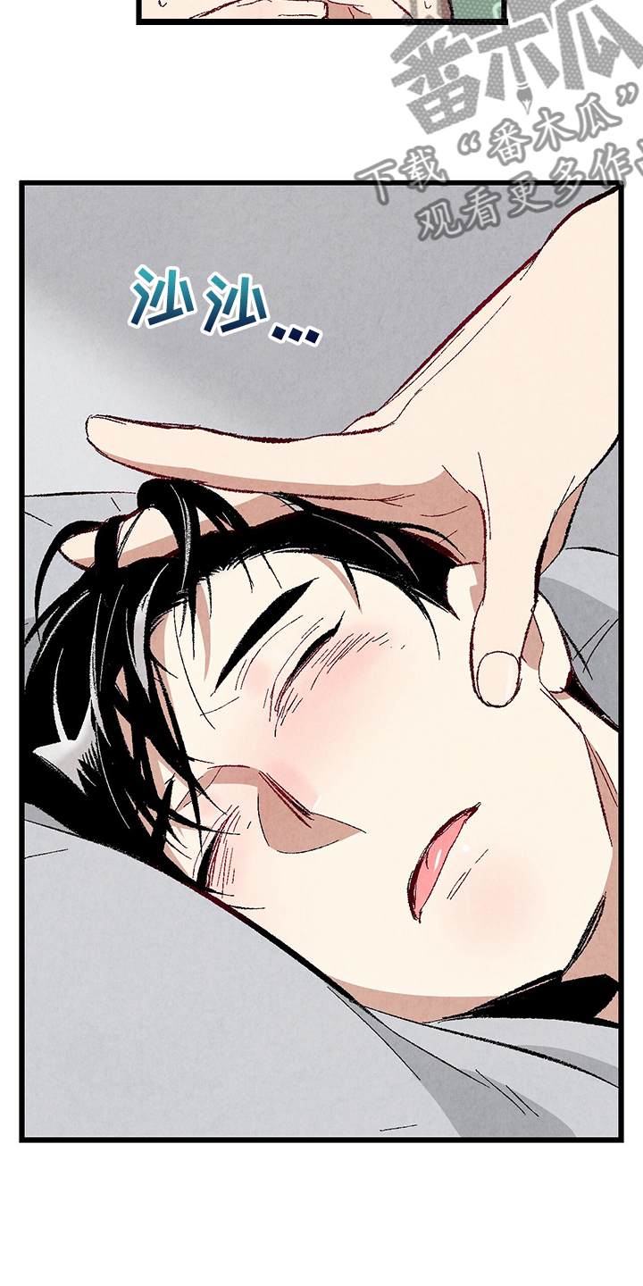 《完美伴侣》第76章【第二季】像受伤的猫 第29页