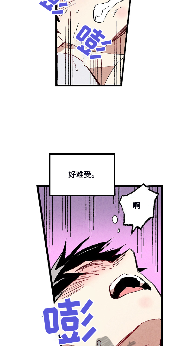 《完美伴侣》第76章【第二季】像受伤的猫 第6页