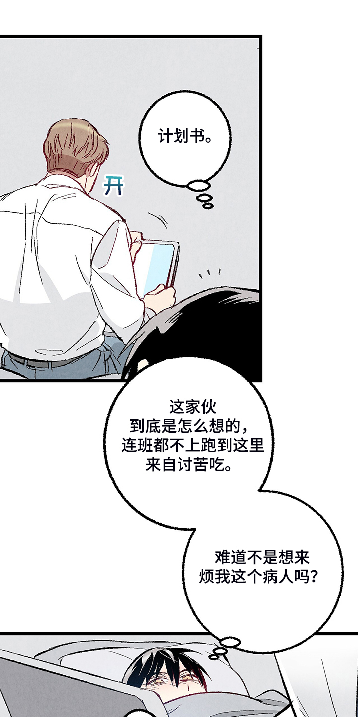 《完美伴侣》第82章【第二季】来气人的 第12页