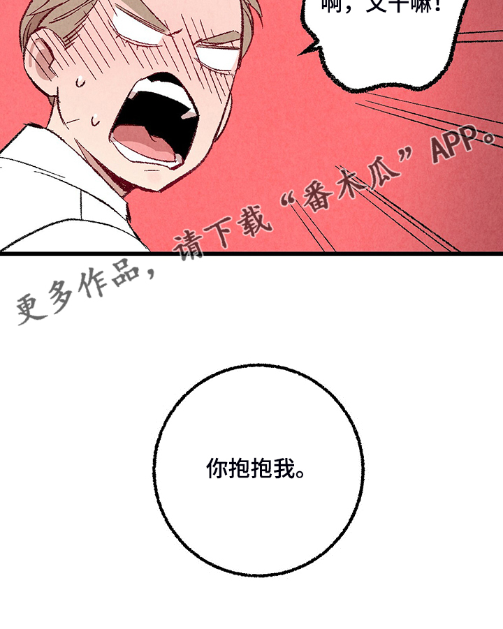《完美伴侣》第82章【第二季】来气人的 第28页