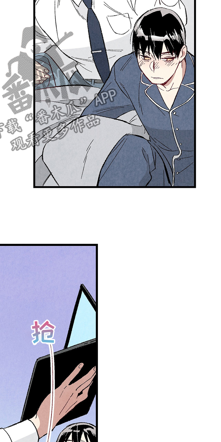 《完美伴侣》第82章【第二季】来气人的 第7页