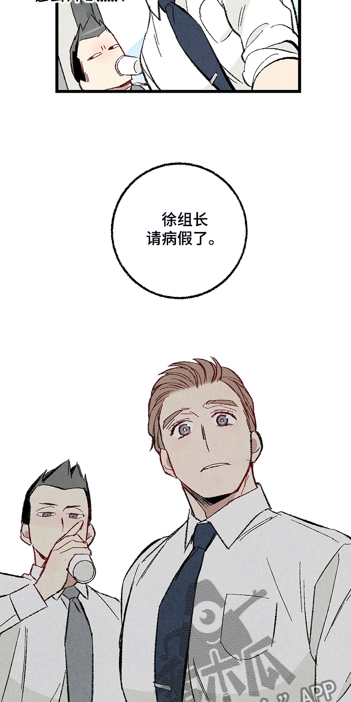 《完美伴侣》第81章【第二季】不一般的病毒 第20页