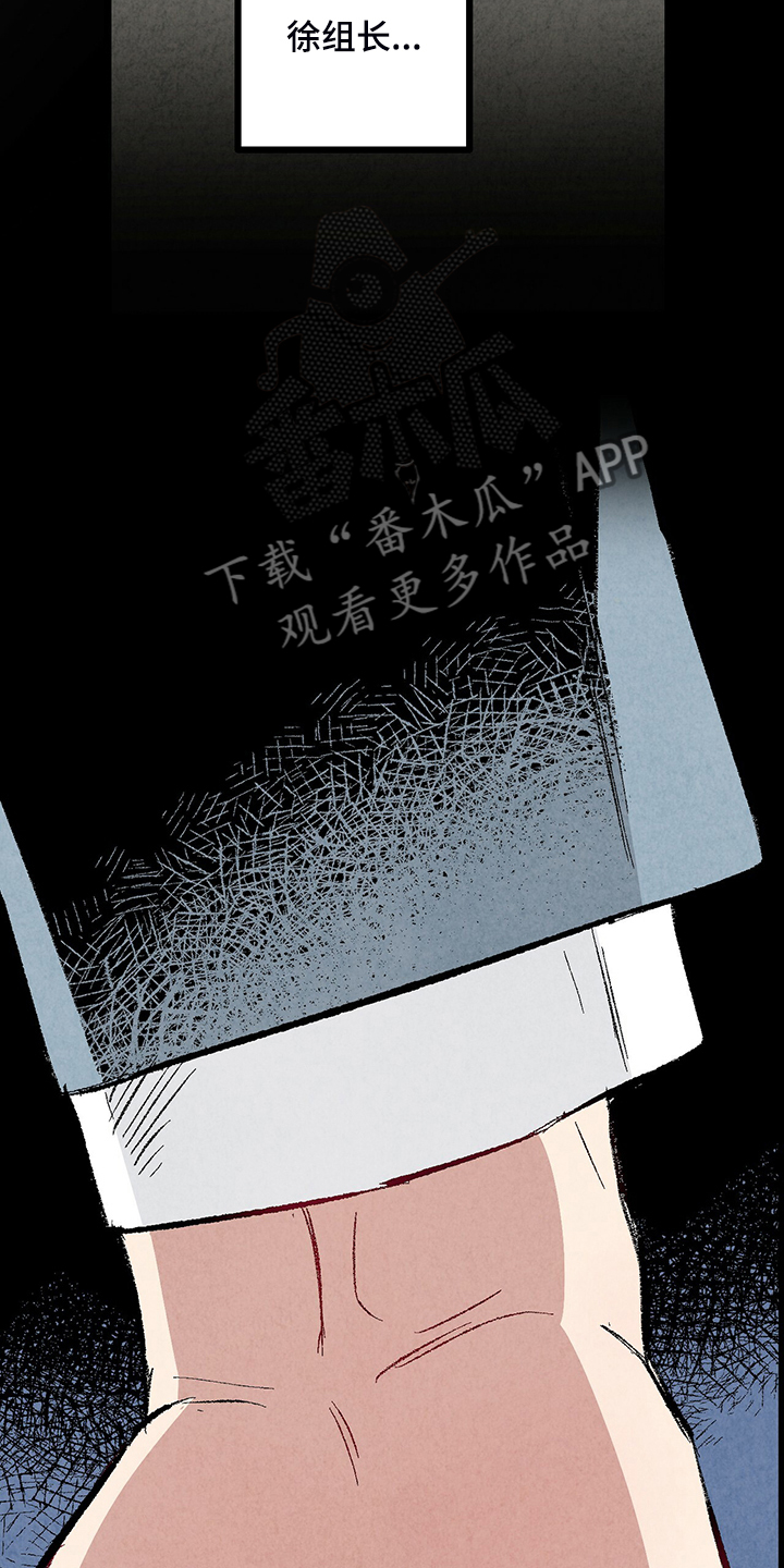 《完美伴侣》第81章【第二季】不一般的病毒 第29页