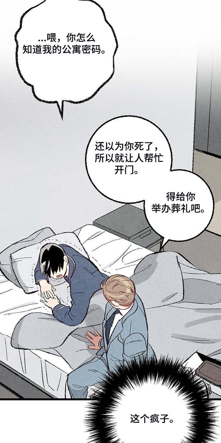 《完美伴侣》第81章【第二季】不一般的病毒 第34页