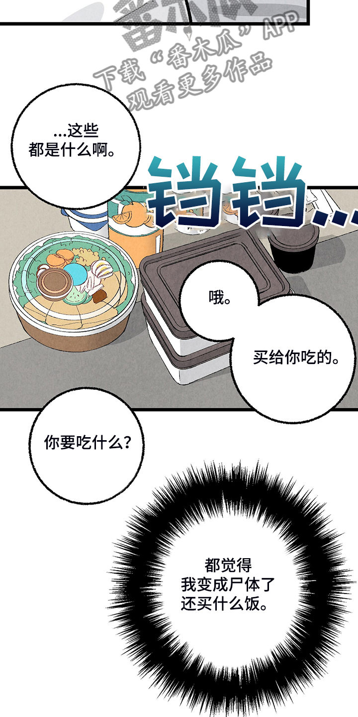 《完美伴侣》第81章【第二季】不一般的病毒 第36页