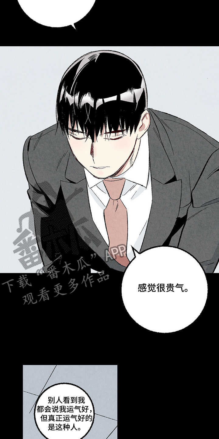 《完美伴侣》第81章【第二季】不一般的病毒 第3页