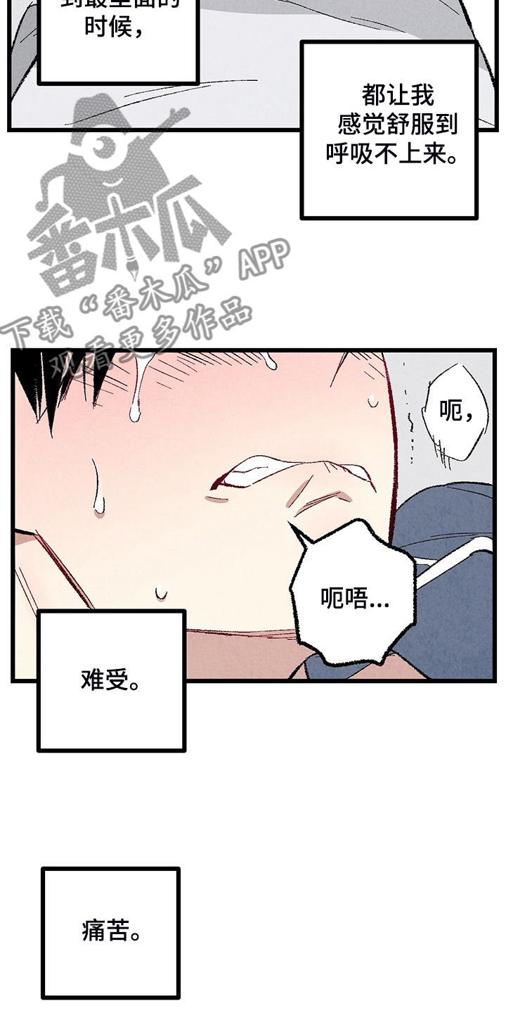 《完美伴侣》第84章【第二季】悄悄的走 第11页