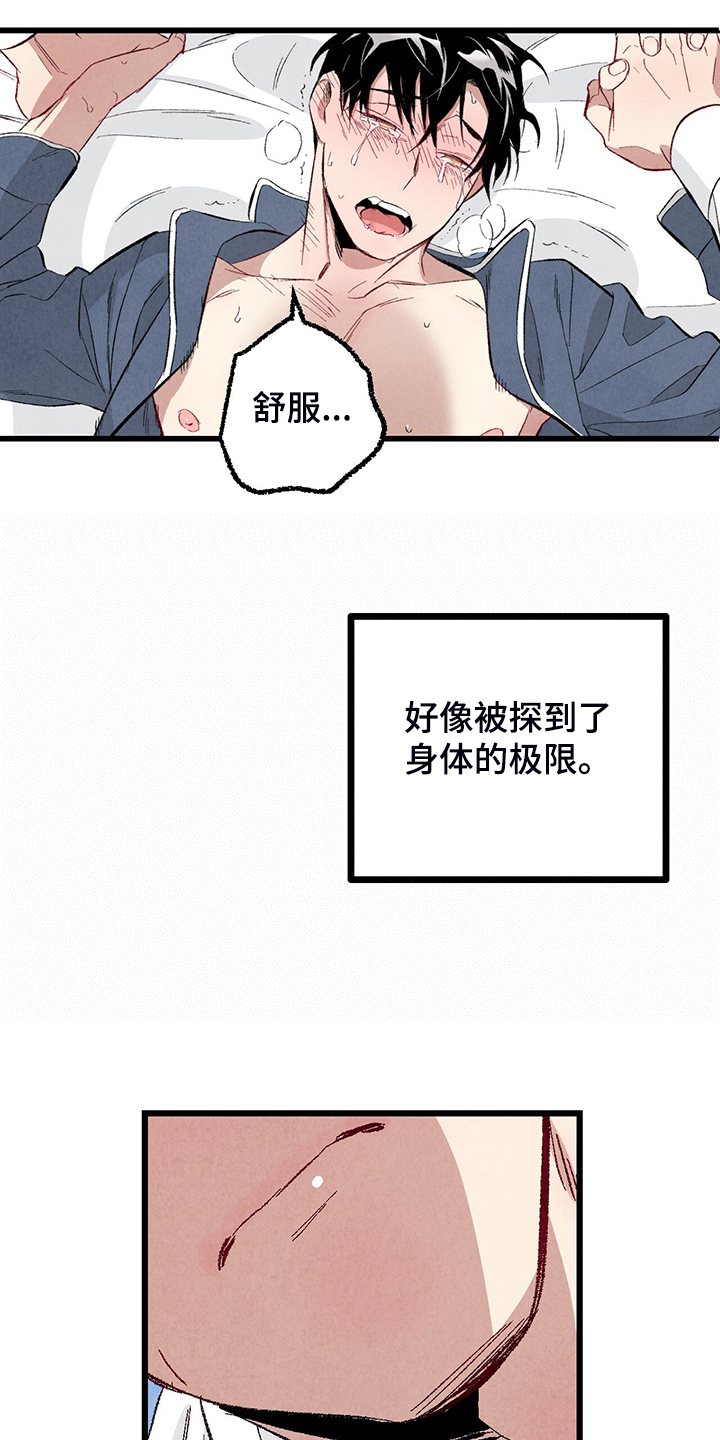 《完美伴侣》第84章【第二季】悄悄的走 第12页
