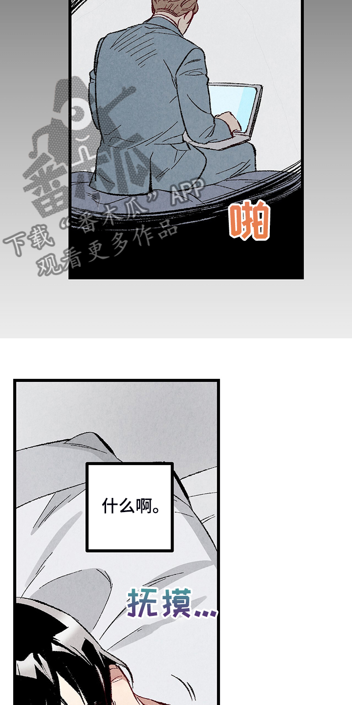 《完美伴侣》第84章【第二季】悄悄的走 第17页
