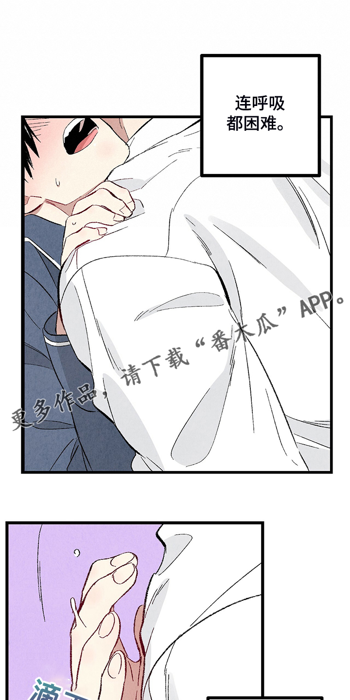 《完美伴侣》第84章【第二季】悄悄的走 第1页