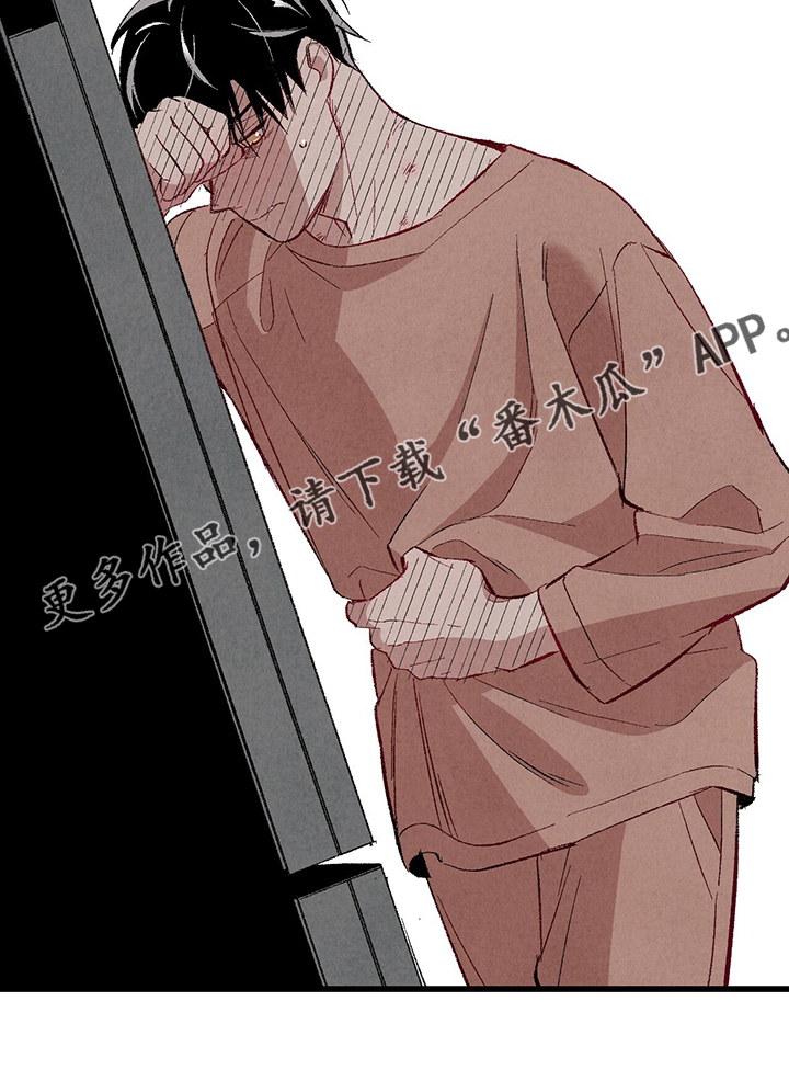 《完美伴侣》第84章【第二季】悄悄的走 第26页