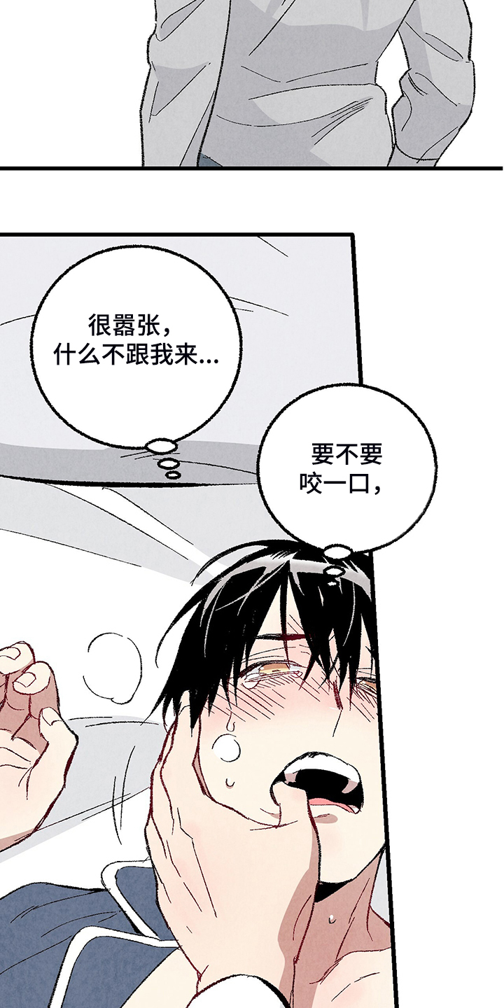 《完美伴侣》第84章【第二季】悄悄的走 第5页