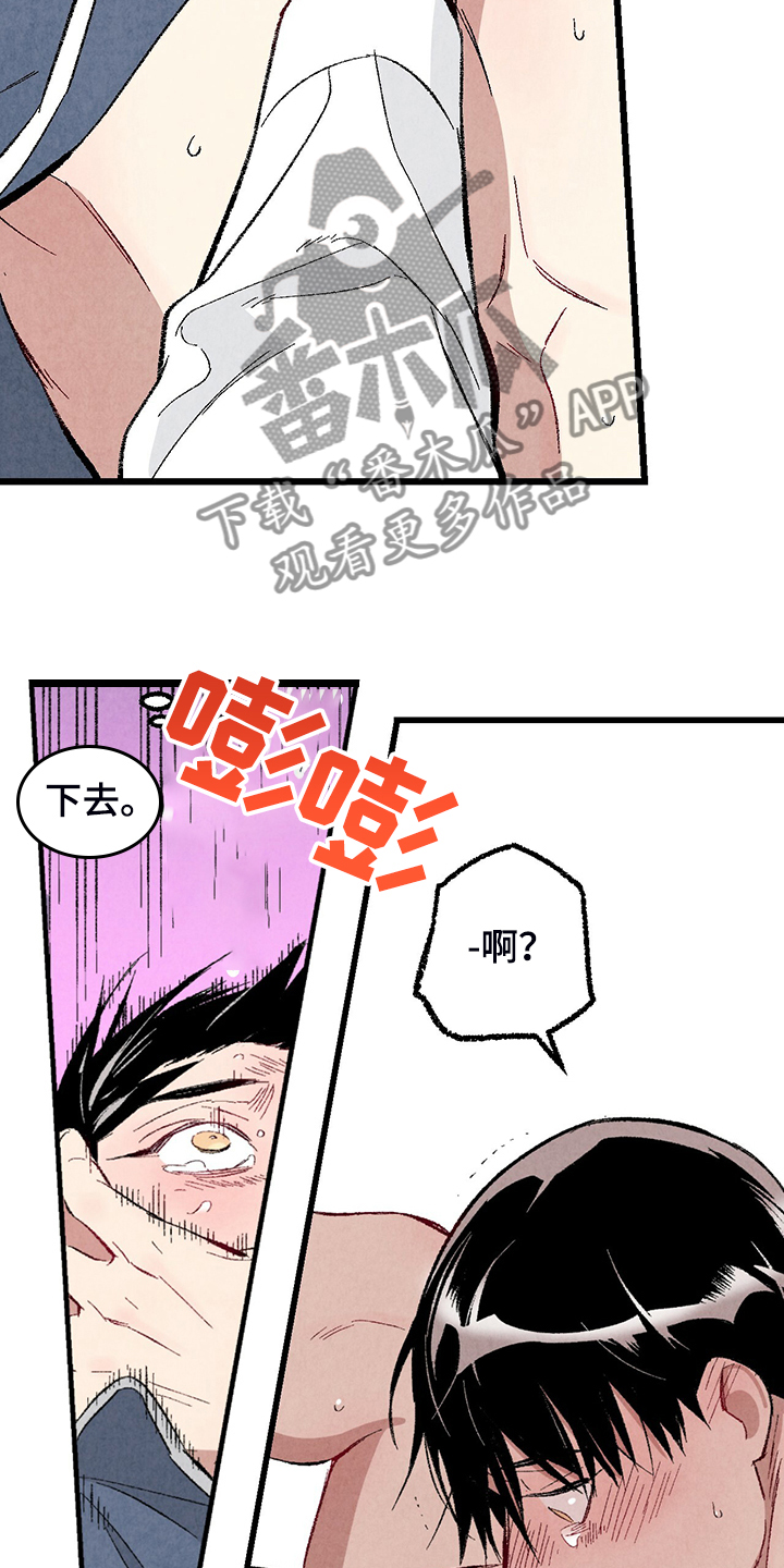 《完美伴侣》第84章【第二季】悄悄的走 第6页