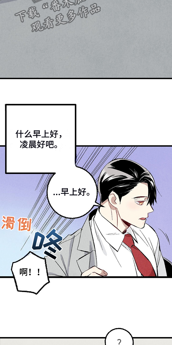 《完美伴侣》第85章【第二季】越来越难对付了 第11页