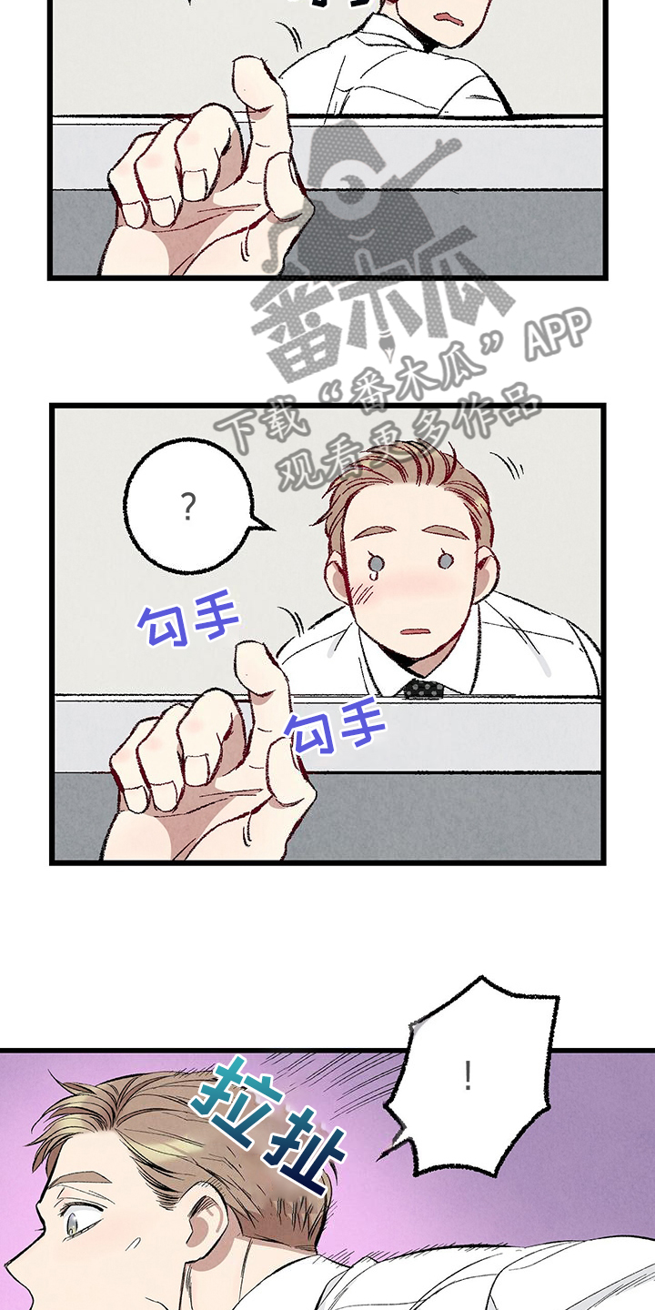 《完美伴侣》第85章【第二季】越来越难对付了 第13页