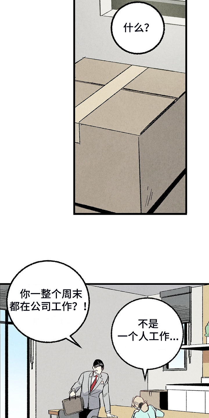 《完美伴侣》第85章【第二季】越来越难对付了 第4页
