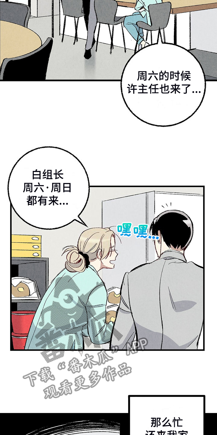 《完美伴侣》第85章【第二季】越来越难对付了 第5页