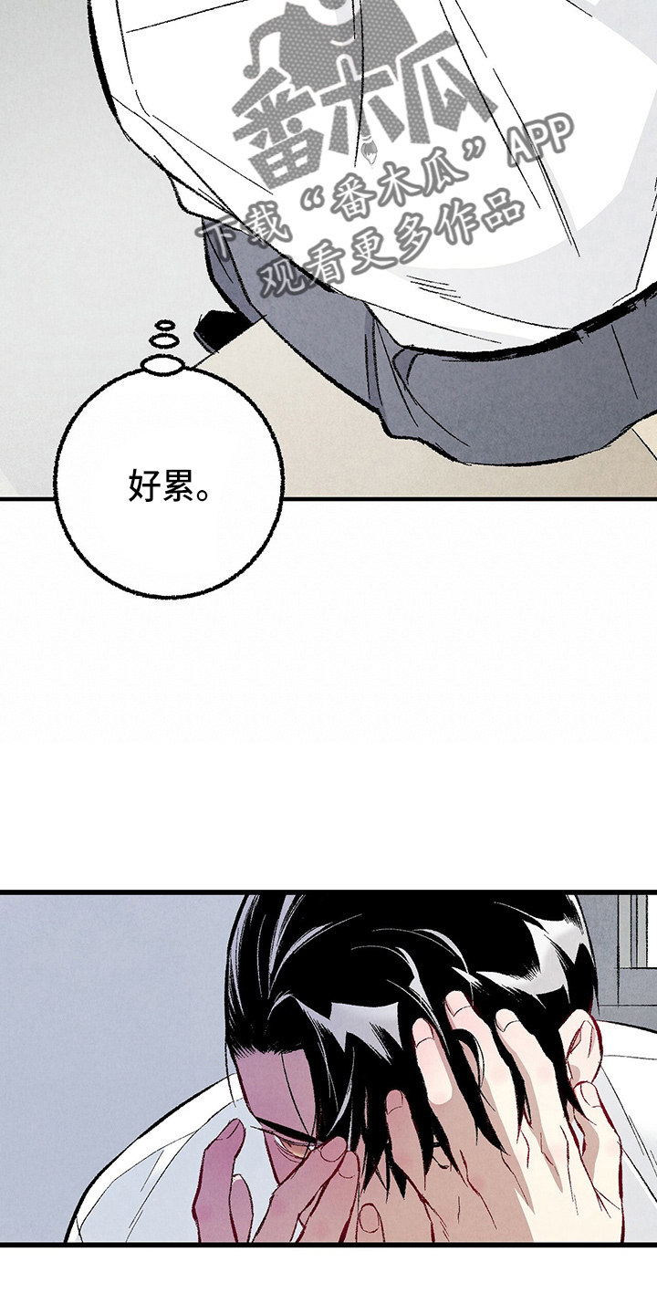 《完美伴侣》第89章【第二季】刺眼 第10页