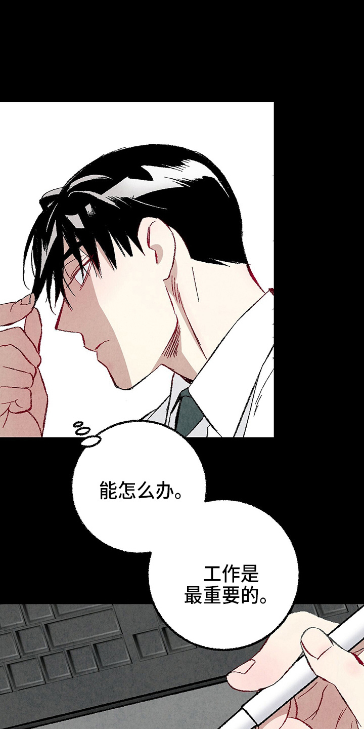《完美伴侣》第89章【第二季】刺眼 第17页