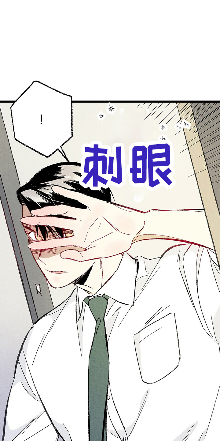 《完美伴侣》第89章【第二季】刺眼 第2页