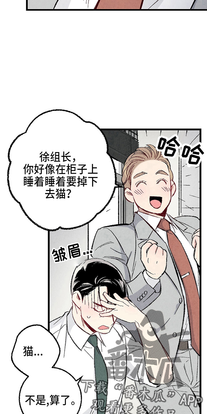 《完美伴侣》第89章【第二季】刺眼 第30页