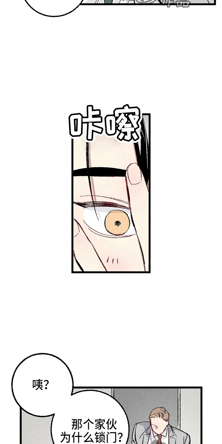 《完美伴侣》第89章【第二季】刺眼 第31页