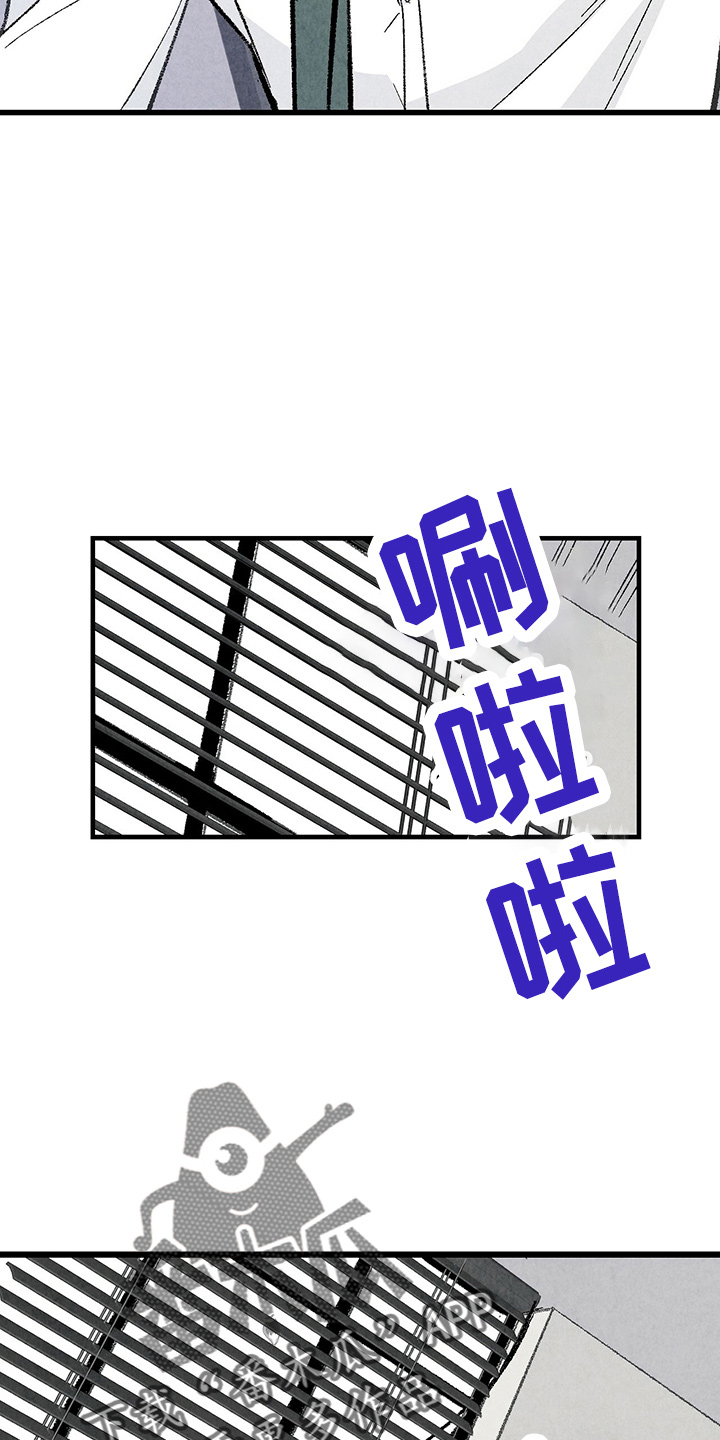 《完美伴侣》第89章【第二季】刺眼 第3页