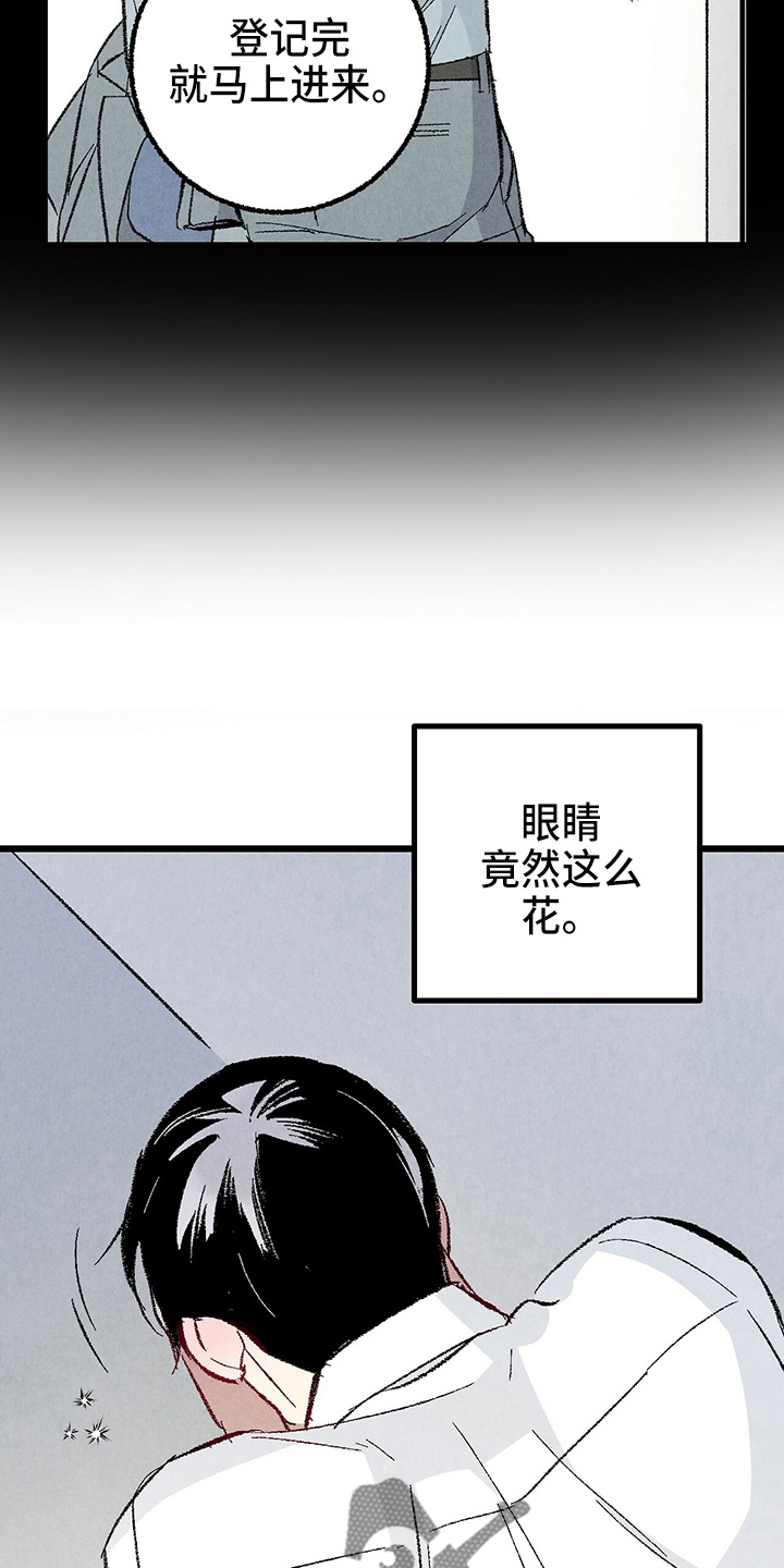 《完美伴侣》第89章【第二季】刺眼 第9页