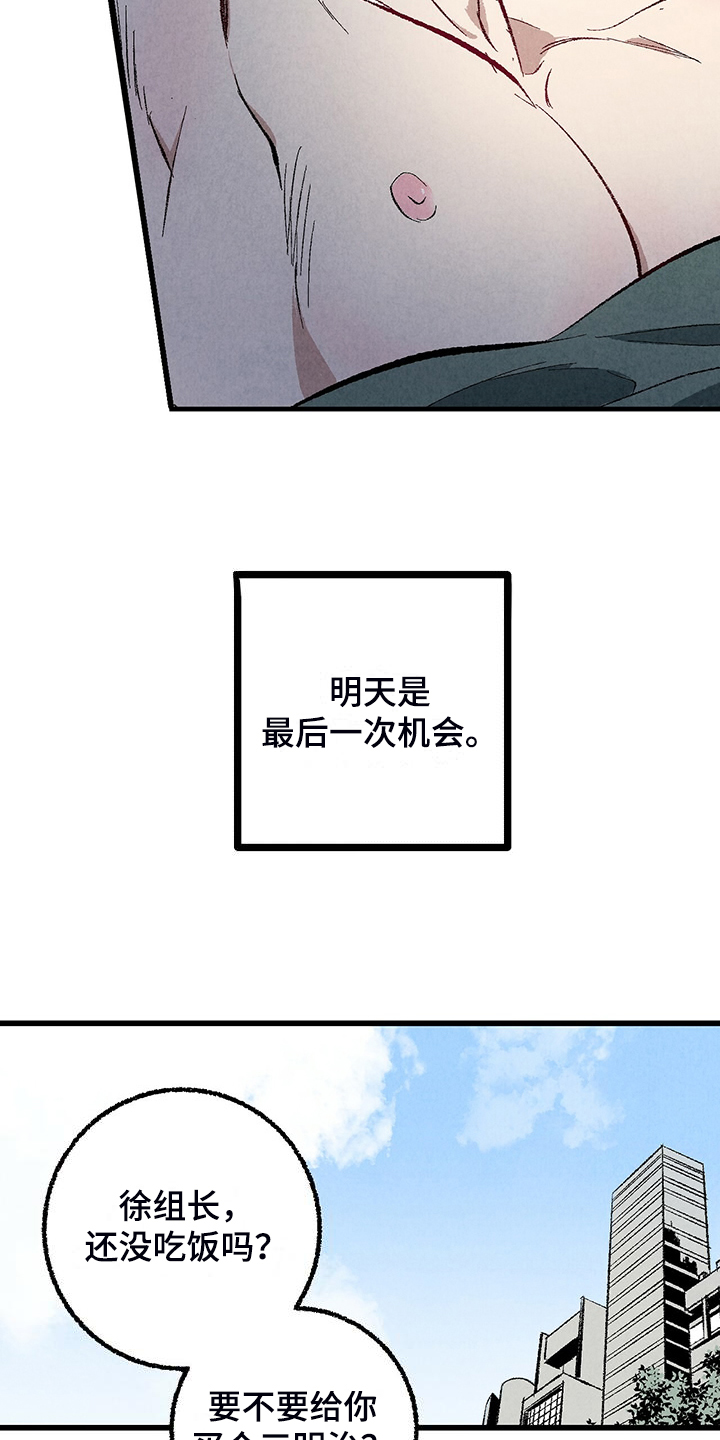 《完美伴侣》第88章【第二季】小心试探 第18页