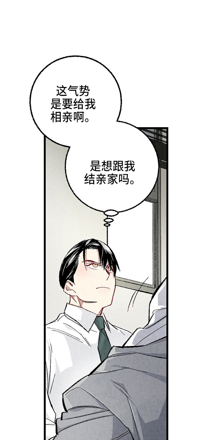 《完美伴侣》第90章【第二季】生气 第5页