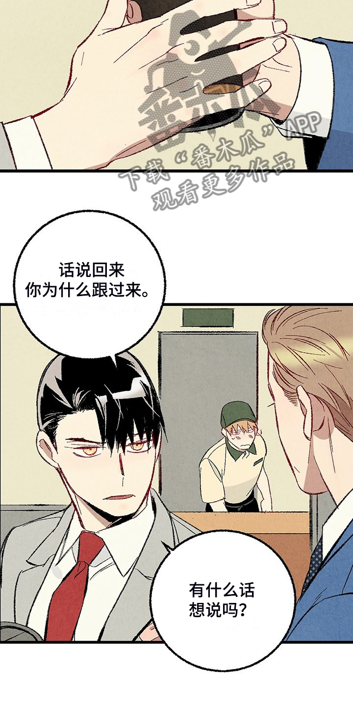 《完美伴侣》第87章【第二季】改性子了？ 第13页