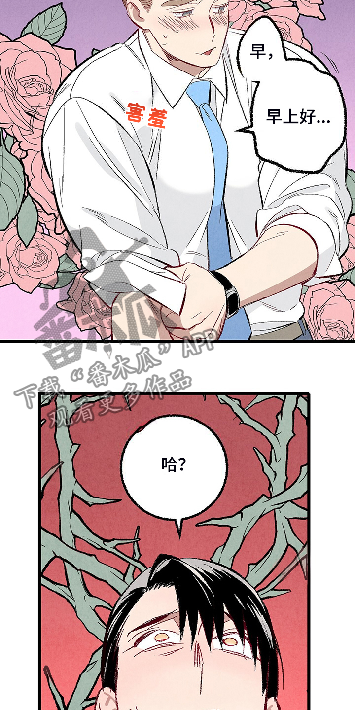《完美伴侣》第87章【第二季】改性子了？ 第19页