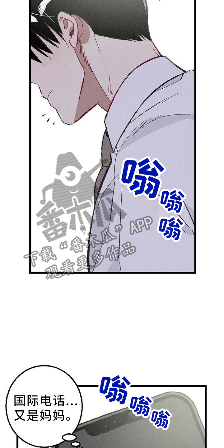 《完美伴侣》第94章【第二季】回到原点 第13页