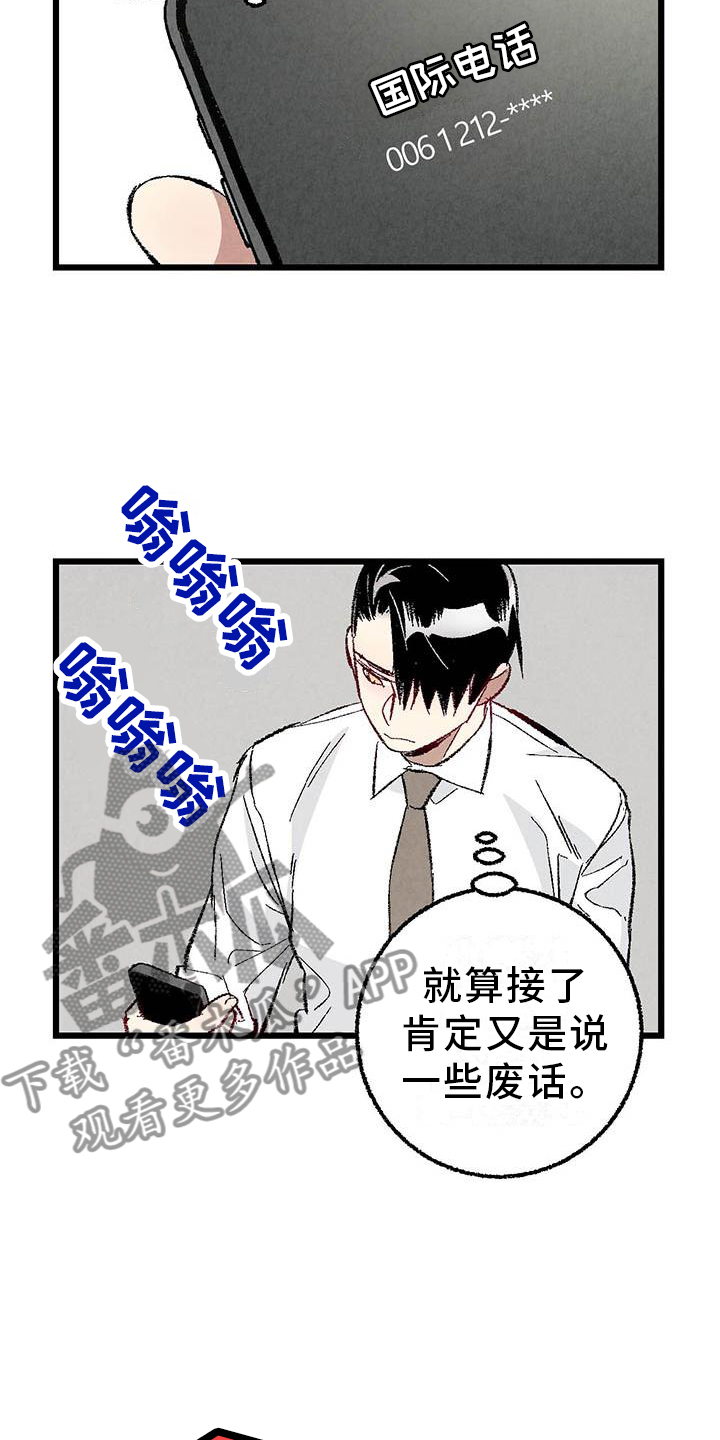 《完美伴侣》第94章【第二季】回到原点 第14页