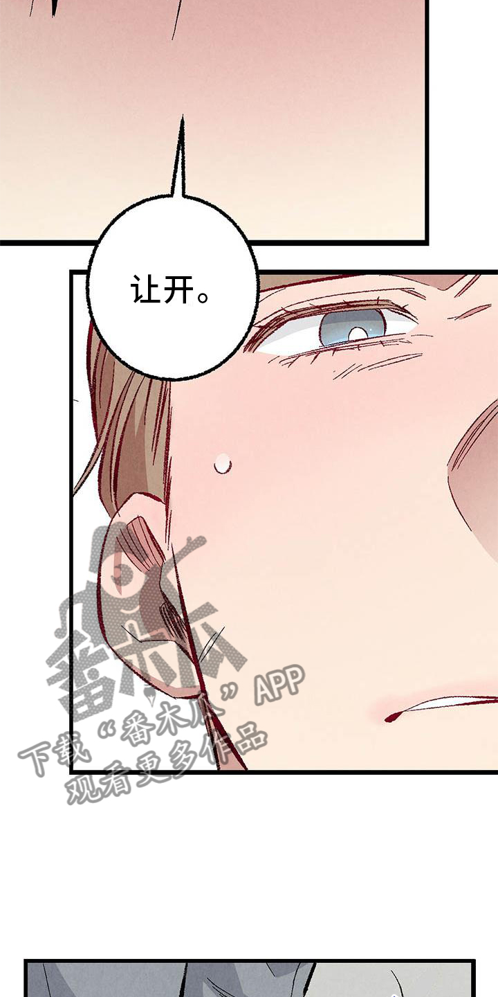 《完美伴侣》第94章【第二季】回到原点 第4页