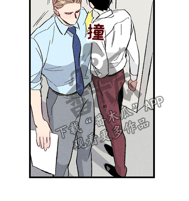 《完美伴侣》第94章【第二季】回到原点 第6页