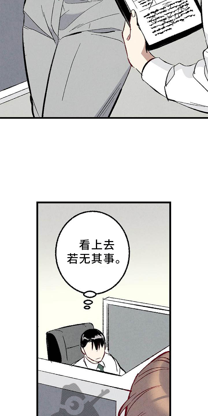 《完美伴侣》第91章【第二季】一塌糊涂 第24页