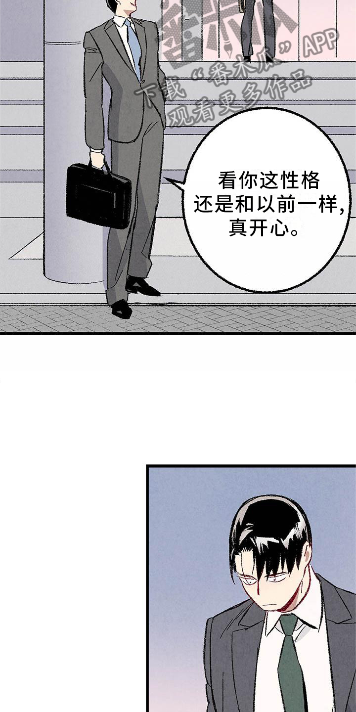 《完美伴侣》第92章【第二季】棋子 第11页