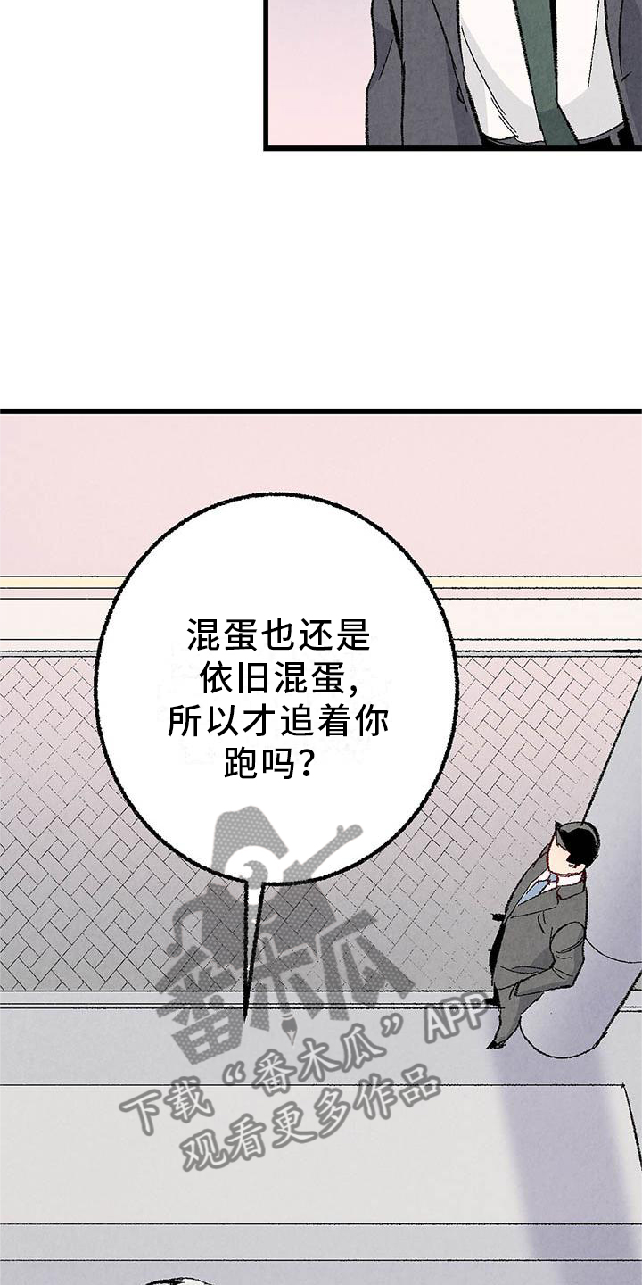《完美伴侣》第92章【第二季】棋子 第12页
