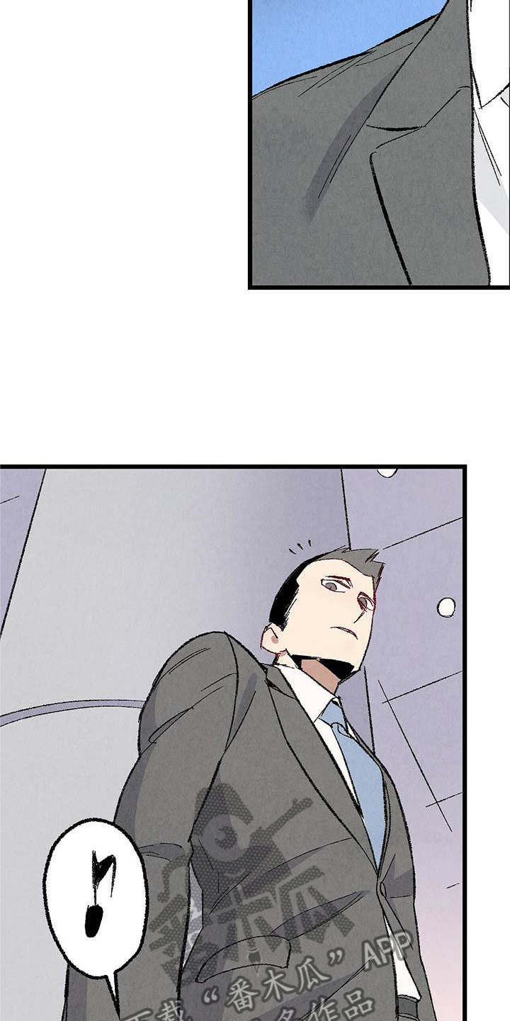 《完美伴侣》第92章【第二季】棋子 第20页