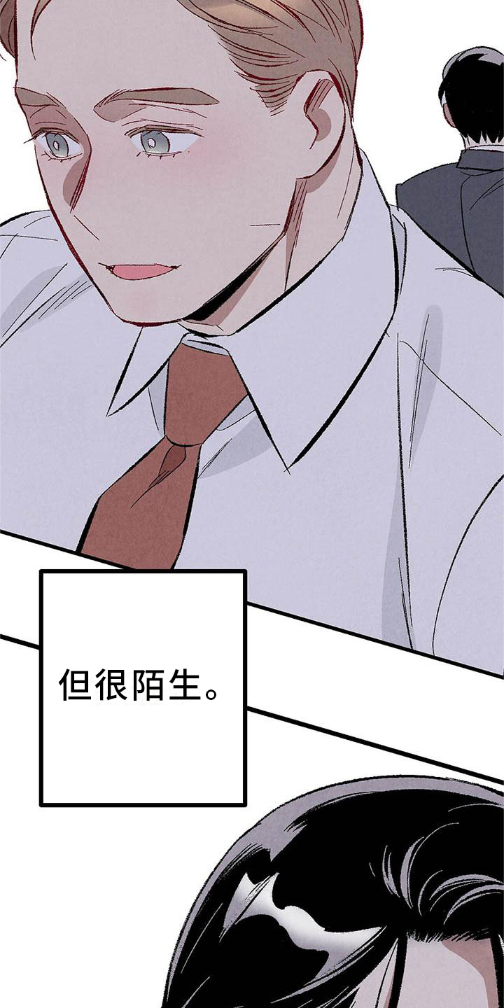 《完美伴侣》第92章【第二季】棋子 第5页