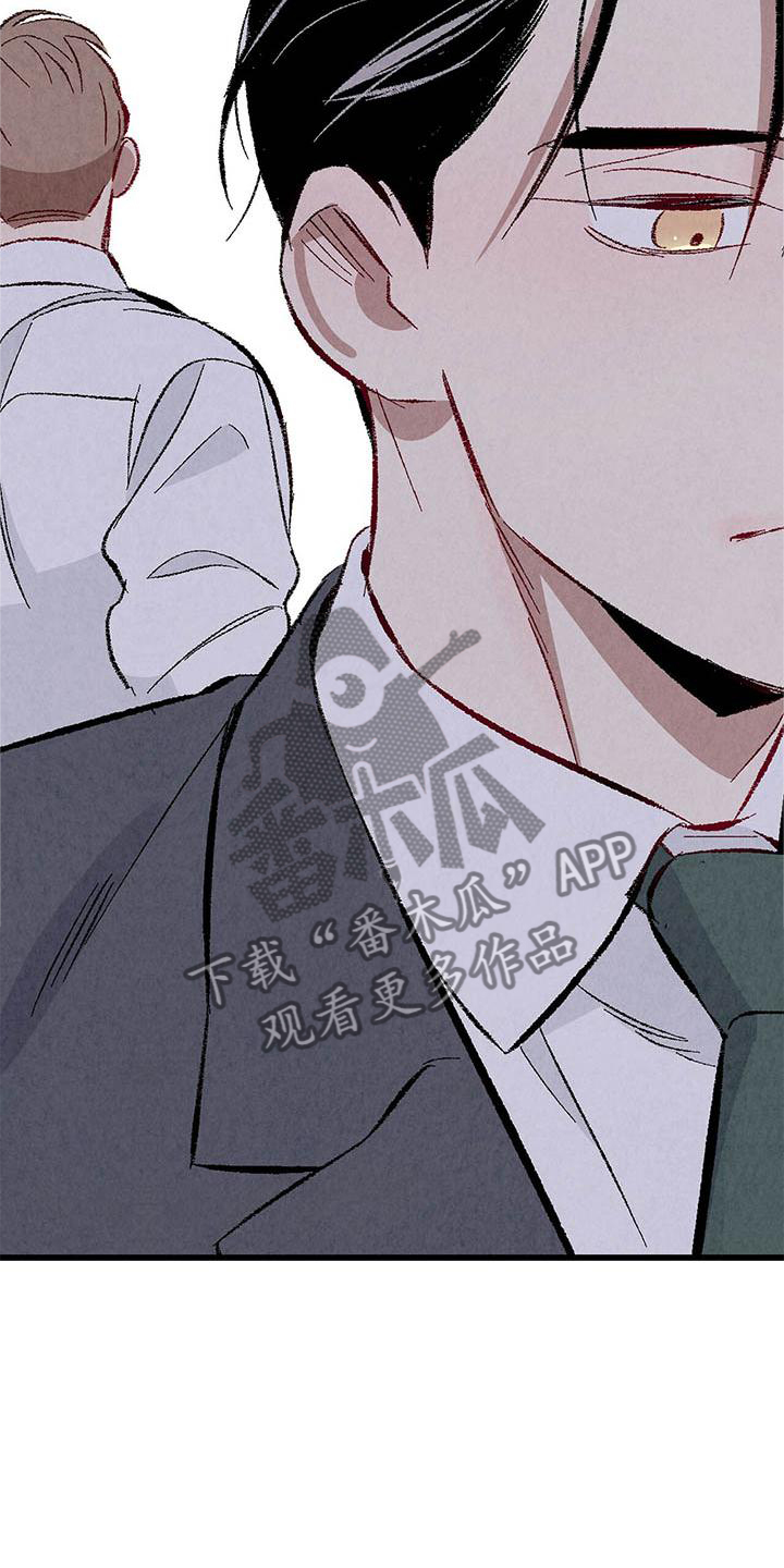 《完美伴侣》第92章【第二季】棋子 第6页