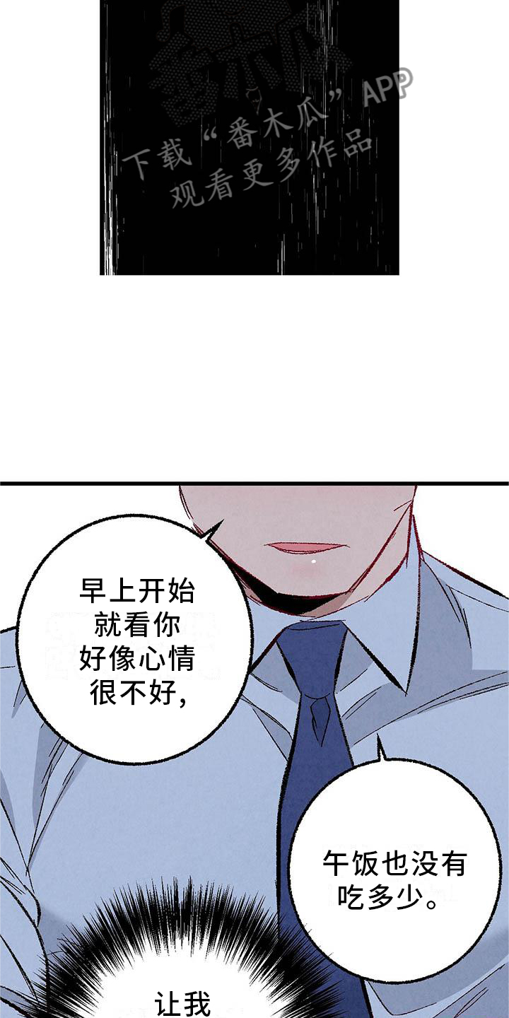 《完美伴侣》第95章【第二季】谈话 第14页