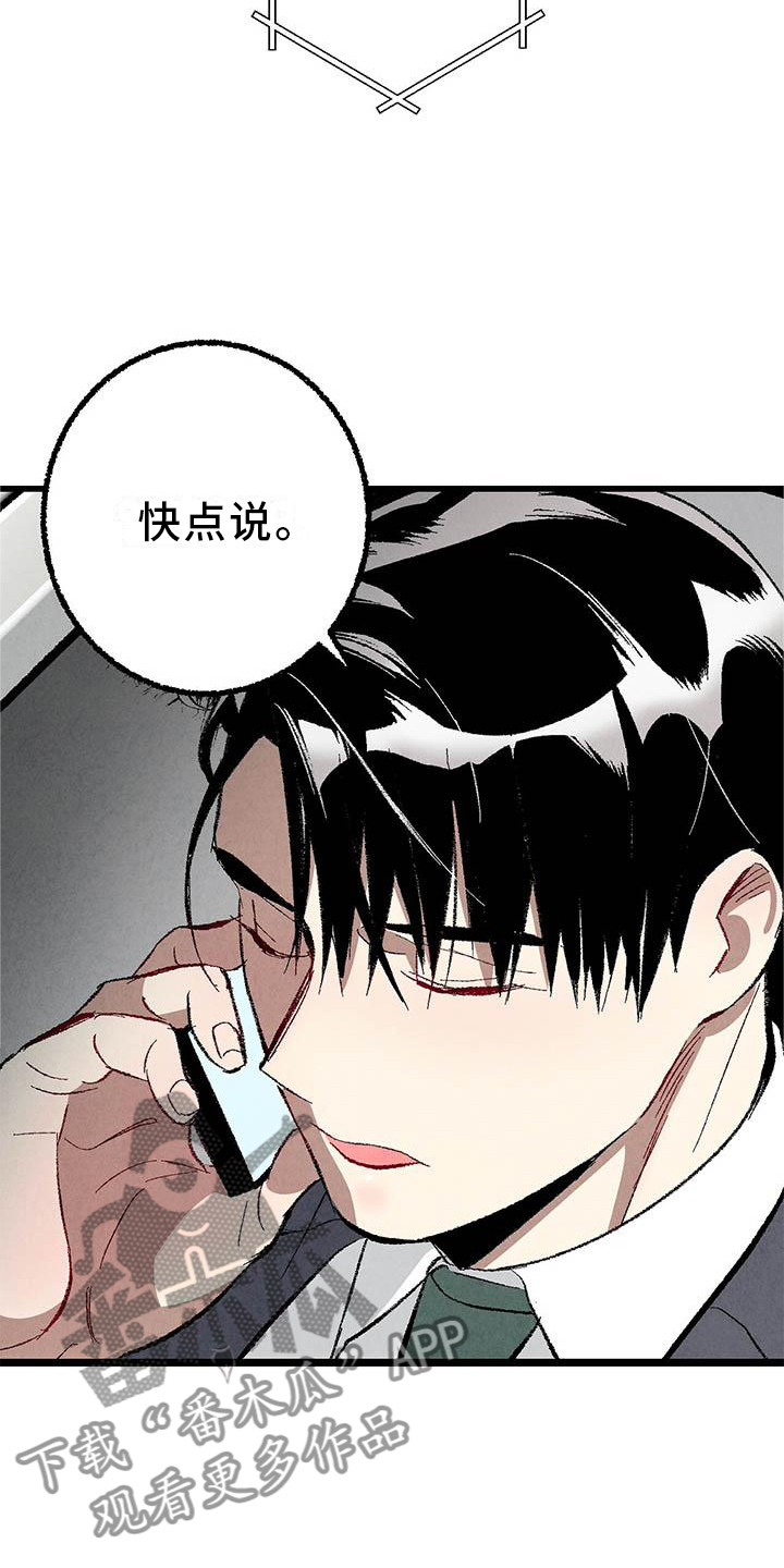 《完美伴侣》第93章【第二季】朋友 第5页