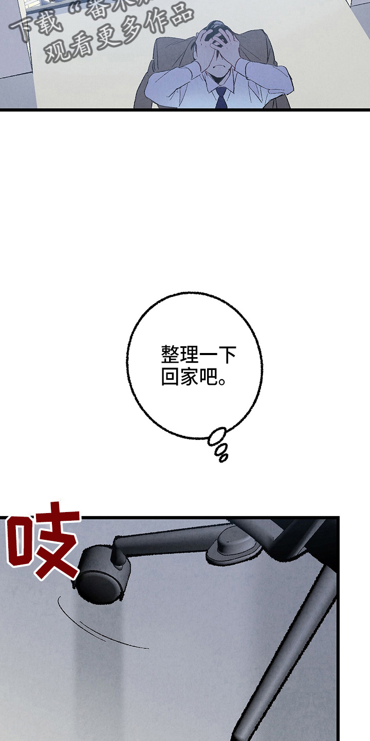 《完美伴侣》第97章【第二季】没事吧 第19页