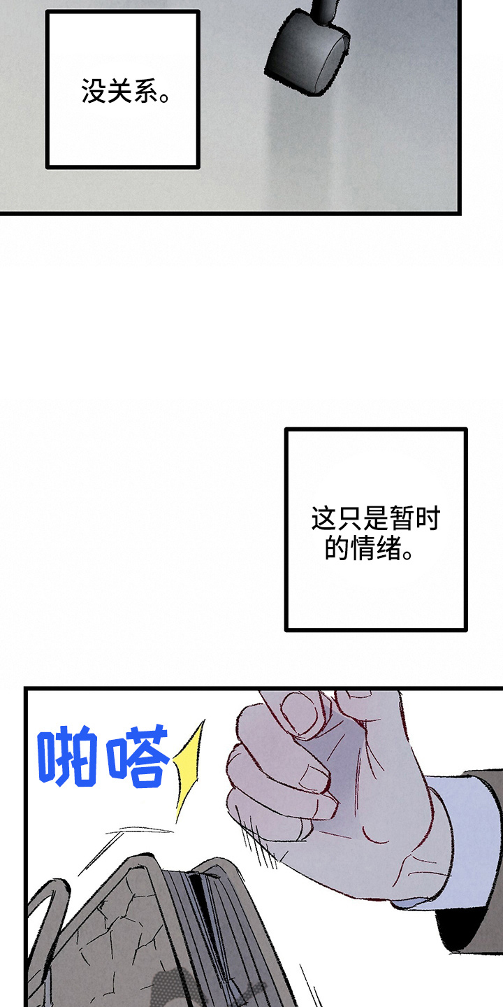 《完美伴侣》第97章【第二季】没事吧 第20页