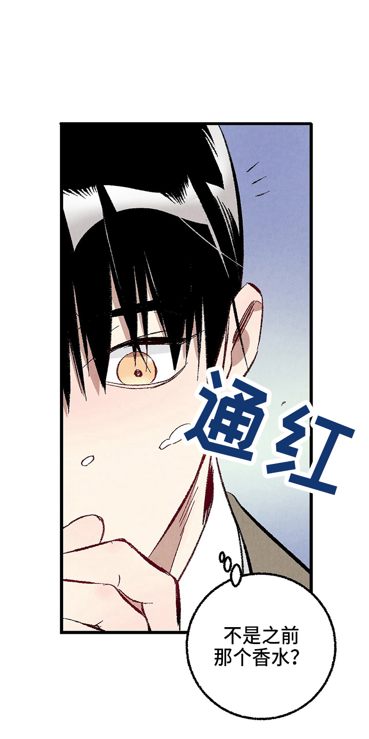 《完美伴侣》第97章【第二季】没事吧 第5页