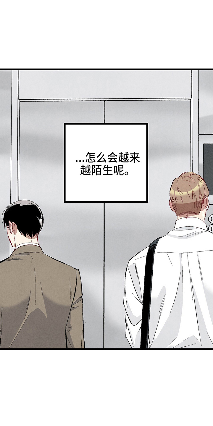 《完美伴侣》第97章【第二季】没事吧 第7页