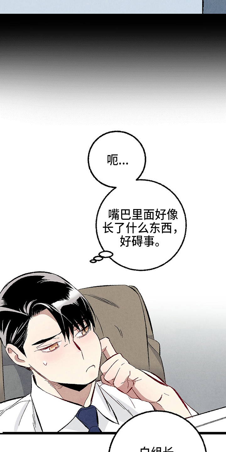 《完美伴侣》第96章【第二季】吓到 第17页