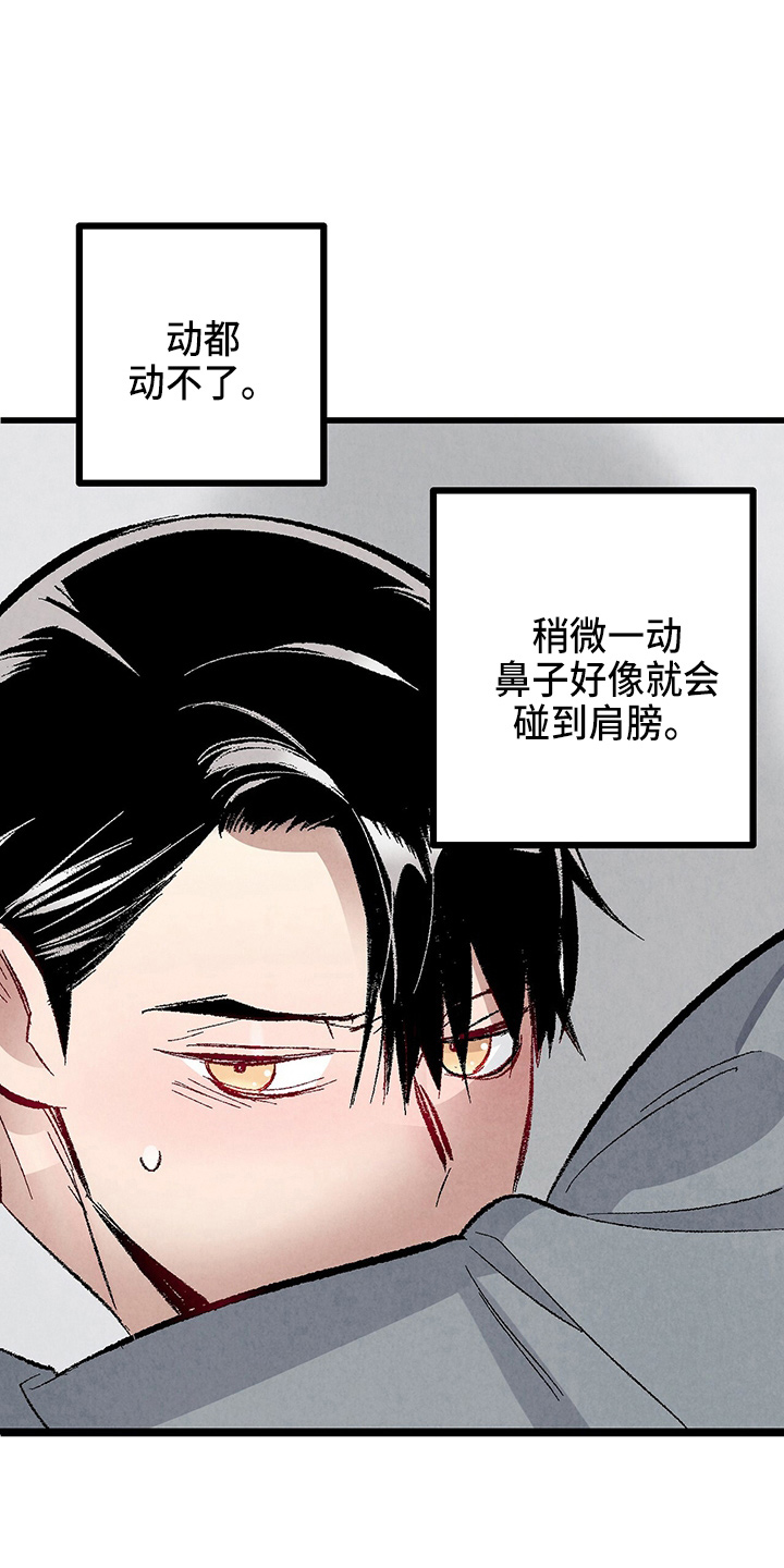 《完美伴侣》第96章【第二季】吓到 第6页
